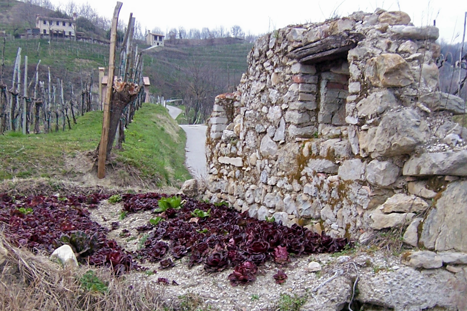 76 segnalazioni per luoghi di valore 2011